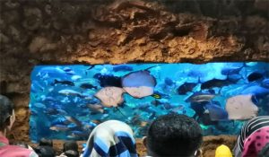 Aquarium Utama Seaworld Ancol